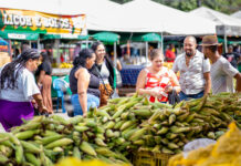 Feira do Milho movimenta comércio e preserva tradição junina em Camaçari