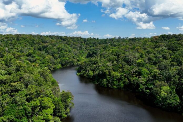 amazonia