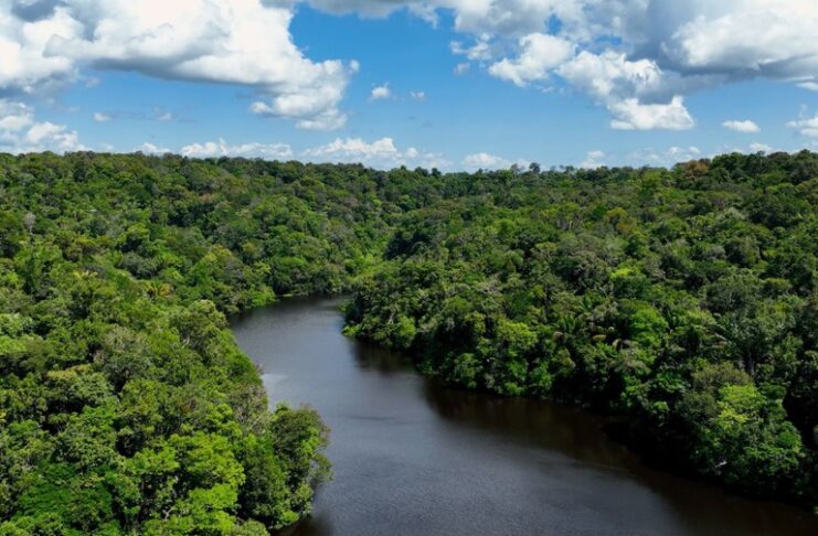 No Dia Mundial do Meio Ambiente, Governo do Brasil ressalta avanços conquistados pelo país desde 2023